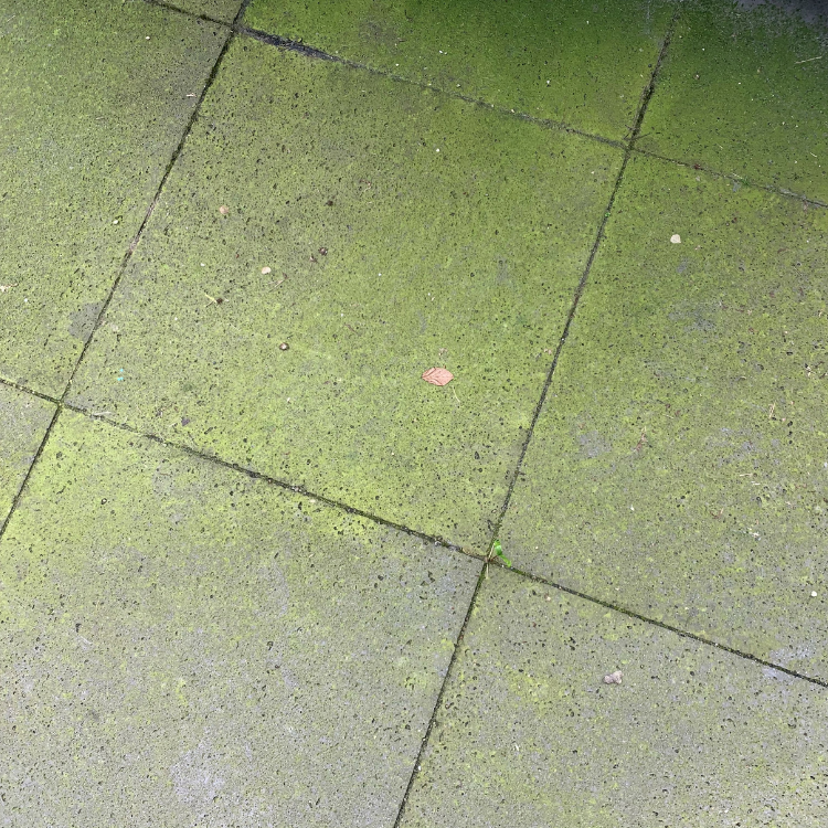 Floramix Außenreiniger
