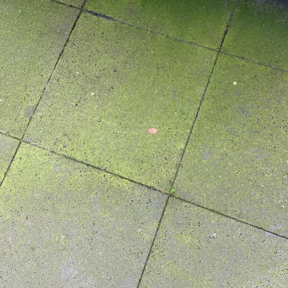 Floramix Außenreiniger