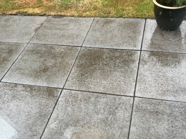 Blatt- und Sandreste